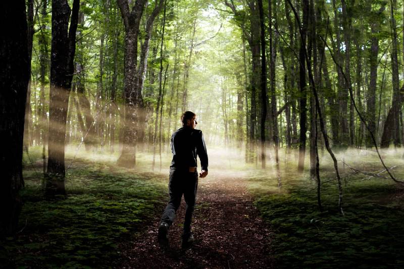 Mơ Thấy Bị Rượt Đuổi Mang Thông Điệp Gì? Quất Lô Gì? 6 Bị rượt đuổi trong rừng khi mơ