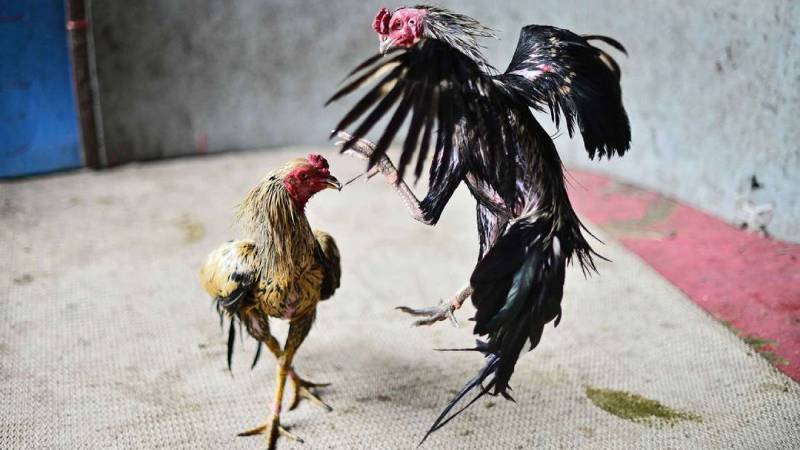 Tăng bản lĩnh và tâm lý trận mạc